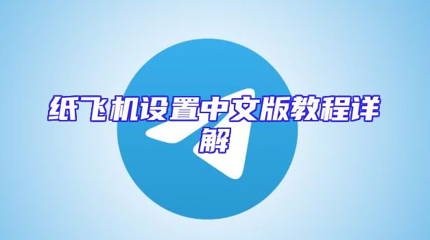 纸飞机设置中文版教程详解