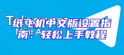 纸飞机中文版设置指南：轻松上手教程