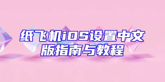 纸飞机iOS设置中文版指南与教程