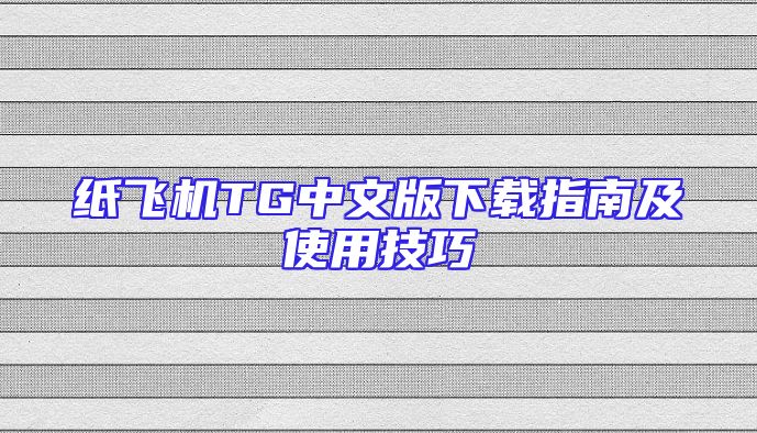 纸飞机TG中文版下载指南及使用技巧