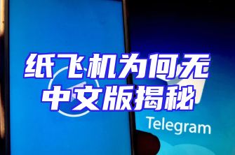 纸飞机为何无中文版揭秘