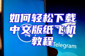 如何轻松下载中文版纸飞机教程