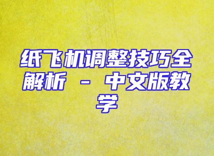 纸飞机调整技巧全解析 - 中文版教学