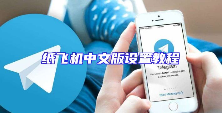纸飞机中文版设置教程