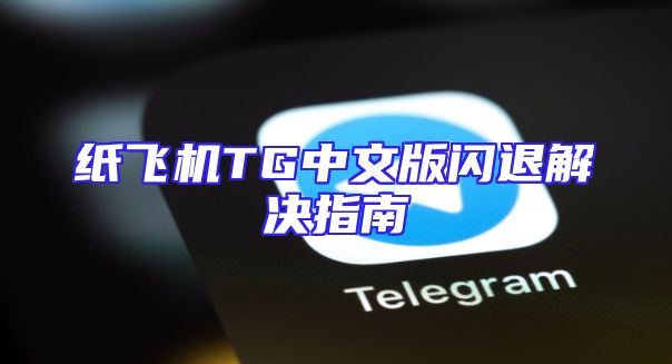 纸飞机TG中文版闪退解决指南