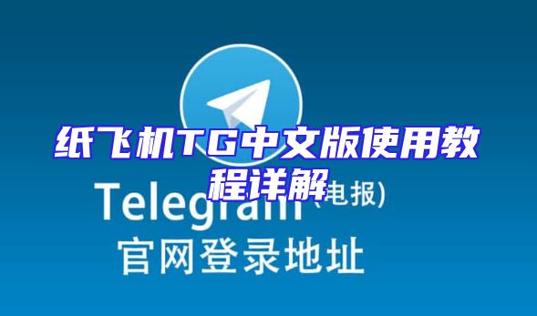 纸飞机TG中文版使用教程详解