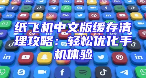 纸飞机中文版缓存清理攻略：轻松优化手机体验