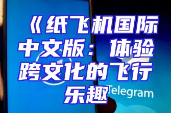 《纸飞机国际中文版：体验跨文化的飞行乐趣