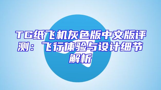 TG纸飞机灰色版中文版评测：飞行体验与设计细节解析