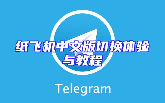 纸飞机中文版切换体验与教程