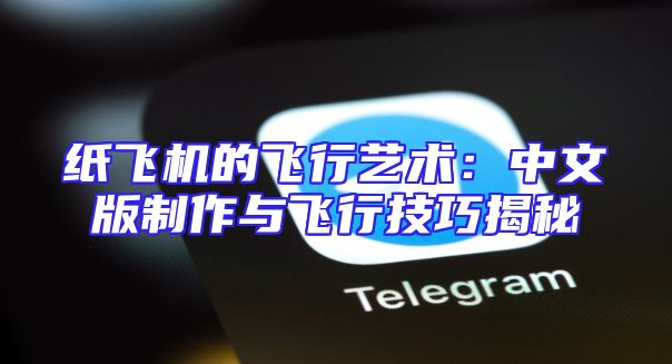 纸飞机的飞行艺术：中文版制作与飞行技巧揭秘