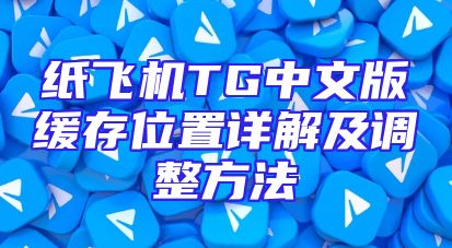 纸飞机TG中文版缓存位置详解及调整方法